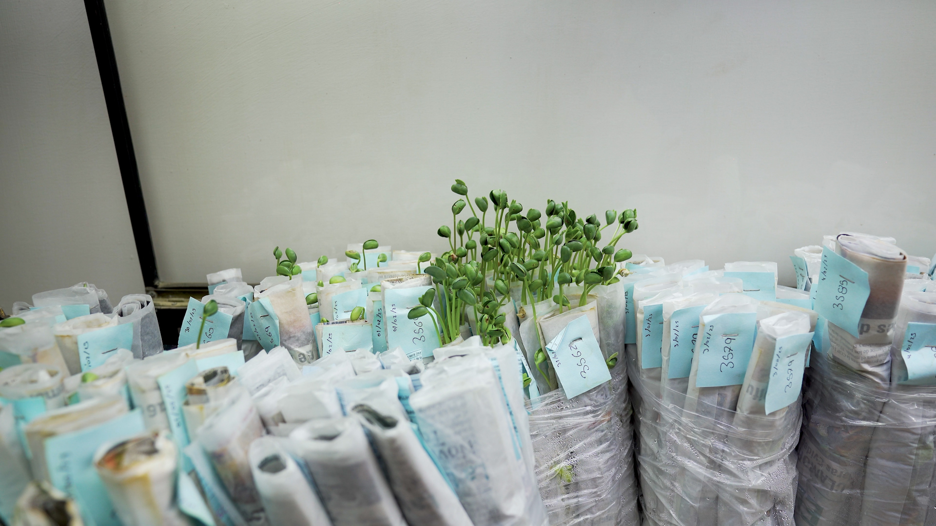 Secuencia 05.00_00_42_03.Imagen fija002