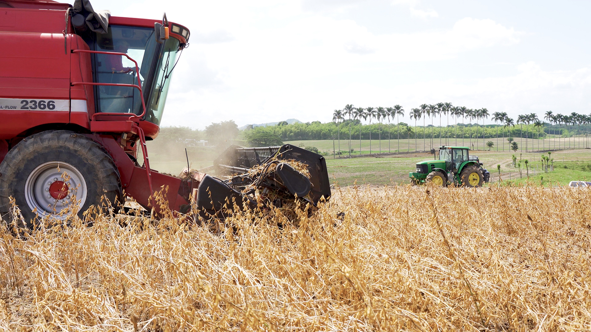 Secuencia 05.00_01_20_07.Imagen fija008