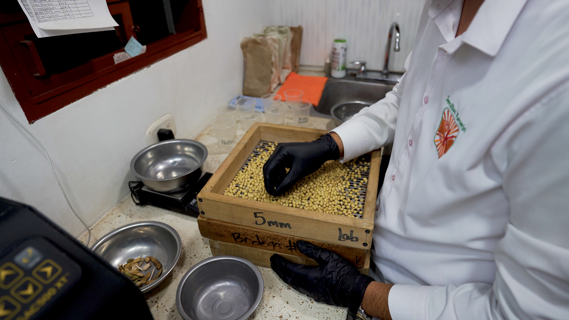 Secuencia 05.00_05_54_06.Imagen fija018