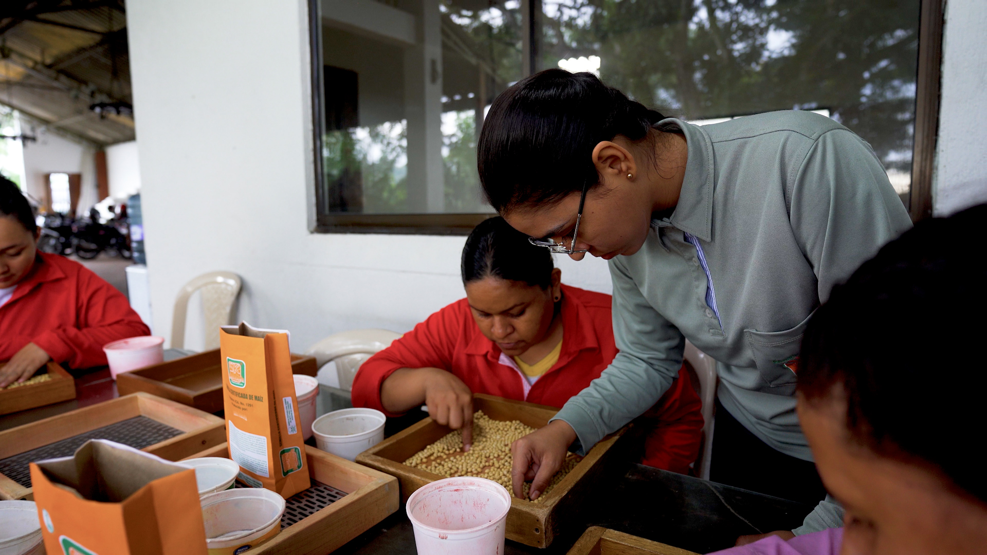 Secuencia 05.00_07_35_16.Imagen fija026 Secuencia 05.00_07_35_16.Imagen fija026